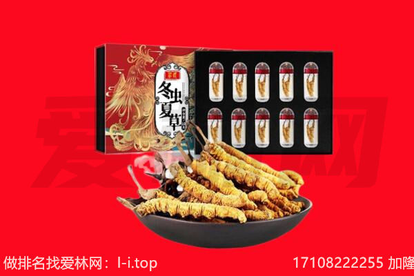 嘉兴秀洲区回收虫草.jpg
